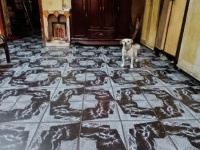 CẦN TIỀN BÁN GẤP NHÀ HOÀI THANH [P14, Q8] DT: 83M2 (4.3X 2OM) 2T, 5PN CHỈ 7 TỶ ĐƯỜNG TRƯỚC NHÀ RỘNG