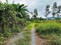 Cần chuyển nhượng Đất QH Thổ Cư - View Sông Chò ngay trung tâm xã Khánh Bình, cách Nha Trang 40