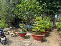 Bán Gấp  3973m2 Đất- Võ Thị Hồi - Xuân Thới Sơn Hóc Môn Chỉ Nhỉnh 10tr/1m2