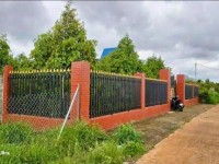 TÔI CÀN BÁN GẤP VƯỜN TRÁI CÂY CẢ NHÀ CÔ ÚT SANG MỸ ĐỊNH CỰ NÊN K AI CHĂM