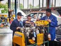 Học Ngành Gì Để Được Định Cư New Zealand?