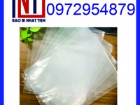 Túi PA, túi PA đựng thủy sản, túi PA không in