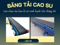 Cung cấp băng tải cho nhà máy sản xuất