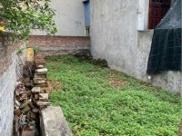 Chính Chủ Cần Bán Lô Đất Đẹp - Giá Tốt Tại Tổ 8, Sát Cánh Mẹm Phường Tiền Phong, TP Thái Bình