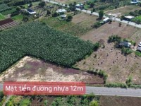 Filhome đất nền Long Tân, Đất Đỏ ngay KCN Đá Bạc sổ riêng, giá rẻ, tiềm năng tăng giá cao