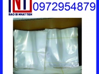 Cung cấp túi PA đựng thủy - hải sản, túi PA giá rẻ chất lượng