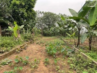 BÁN NHANH LÔ ĐẤT 350M2, MT25M FULL THỔ CƯ, NGỌC THỤY LONG BIÊN, VIEW SÔNG 23 TỶ