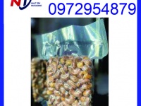 Chuyên cung cấp túi PA đựng hạt điều