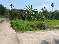 CHÍNH CHỦ CẦN CHUYỂN NHƯỢNG ĐẤT LÔ GÓC 620m²