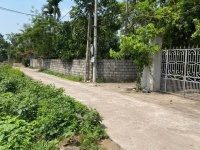 CHÍNH CHỦ CẦN CHUYỂN NHƯỢNG ĐẤT LÔ GÓC 620m²
