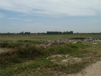 Bán 50ha đất kho nhà xưởng 50 năm tại Huyện Triệu Sơn, Tỉnh Thanh Hóa