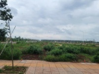 Cần bán gấp 3 lô đất tái định cư Ngãi Giao Gần trường học, chợ full thổ cư 1,3 tỷ TL mạnh