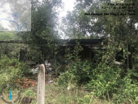 CHÍNH CHỦ CẦN BÁN GẤP LÔ ĐẤT TẠI XÃ ĐỊNH THÀNH - H. DẦU TIẾNG - BÌNH DƯƠNG