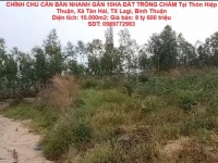 CHÍNH CHỦ CẦN BÁN NHANH GẦN 10HA ĐẤT TRỒNG CHÀM Tại LaGi, Bình Thuận - Giá Siêu Rẻ
