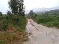 CHÍNH CHỦ CẦN BÁN NHANH GẦN 10HA ĐẤT TRỒNG CHÀM Tại LaGi, Bình Thuận - Giá Siêu Rẻ
