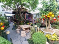 BÁN BIỆT THỰ 4 TẦNG 8X20M NỘI THẤT CAO CẤP, ĐƯỜNG 14M - CHỈ 16.5 TỶ (TL) KDC HIỆN HỮU GIÁP QUẬN 8