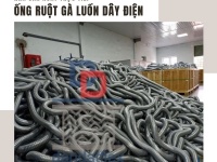 Cung cấp ống ruột gà lõi thép bọc nhựa pvc, ống thép luồn dây điện