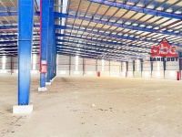 XT426 Nhà Xưởng cho thuê lâu dài, tập chung nhiều ngành nghề, DN FDI, DN Chế Xuất