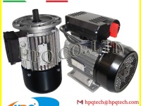 Nhà cung cấp Động cơ điện ba pha Damien - 0932 600412
