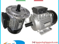 Nhà cung cấp Động cơ điện ba pha Damien - 0932 600412