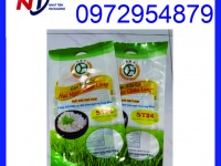 In túi đựng gạo 5kg PA/PE rẻ đẹp, thiết kế miễn phí