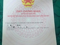 CHÍNH CHỦ CẦN BÁN LÔ ĐẤT 169M² – THƯỜNG TÍN, HÀ NỘI – GIÁ SIÊU RẺ