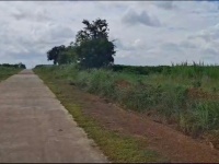 CHÍNH CHỦ CẦN BÁN GẤP LÔ ĐẤT ĐẸP TẠI XÃ EA SÚP, ĐẮK LẮK – GIÁ CHỈ 7 TRIỆU/MÉT NGANG