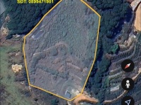 ĐẤT ĐẸP – GIÁ TỐT – CHÍNH CHỦ CẦN BÁN NHANH 1,4Ha ĐẤT Tà Nung, Đà Lạt, Lâm Đồng