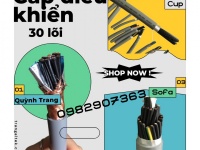 Cáp Điều Khiển 30 Lõi Altek Kabel Truyền Tín Hiệu Ổn Định