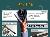 Cáp Điều Khiển 30 Lõi Altek Kabel Truyền Tín Hiệu Ổn Định