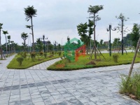 ✅ Bán đất đấu giá X1 Nguyên Khê - 80m - View công viên - Đường rộng 20m