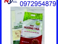 In túi đựng gạo 1kg 2kg 5kg 10kg giá rẻ tại TPHCM