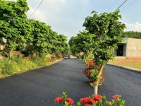 BÁN ĐẤT THỊ TRẤN LẠC THỦY – HÒA BÌNH (NAY THUỘC PHÚ THỌ) – GIÁ CHỈ TỪ 600 TRIỆU/LÔ – SỔ ĐỎ TRAO TAY
