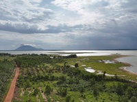 CHÍNH CHỦ CẦN BÁN ĐẤT Ở DẦU TIẾNG - BÌNH DƯƠNG- (THÀNH PHỐ HỒ CHÍ MINH)