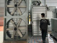 Quạt hút công nghiệp vuông trực tiếp