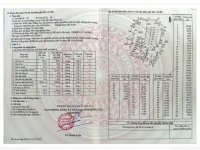 Trang trại chăn nuôi heo qui mô lớn 10 hécta