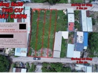 ĐẤT VƯỜN CHÍNH CHỦ - GIÁ TỐT - KP Mỹ Thạnh, Phường Mỹ Xuân, Tx Phú Mỹ, Bà Rịa - Vũng Tàu