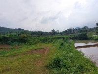 CHÍNH CHỦ CẦN BÁN  2,5 ha ĐẤT BÁM SUỐI VIEW SIÊU ĐEP TẠI LƯƠNG SƠN – PHÚ THỌ