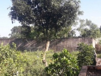 GẤP GẤP  –CHÍNH CHỦ CẦN BÁN LÔ ĐẤT VỊ TRÍ  tại  xã Hoằng Đạo, huyện Hoằng Hóa, tỉnh Thanh Hóa