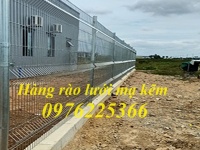 Lưới hàng rào mạ kẽm - Xưởng sản xuất hàng rào lưới thép giá rẻ