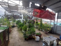 NHÀ HIẾM MẶT TIỀN NGUYỄN VĂN TĂNG – TRUNG TÂM QUẬN 9 – GIÁ CHỈ 46 TỶ - KINH DOANH BUÔN BÁN