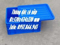 Thùng đặc nguyên sinh nhập khẩu, thùng cơ khí có nắp đậy, thùng nhựa