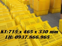 Sọt nhựa nguyên sinh có quai xách