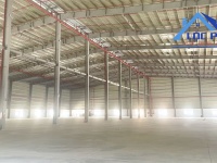 Cho thuê xưởng mới 6500m2 KCN Nhơn Trạch, Đồng Nai 4,9$/m2