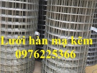 Lưới thép mạ kẽm 50x50, 50x100, 100x100 hàng cuộn 