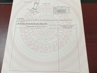 ► LÔ ĐẤT SIÊU ĐẸP – TRỤC CHÍNH HOÀNG ĐỘNG, THỦY NGUYÊN