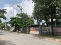 Lô ĐẤT Mặt tiền đường 20m TÂN THỚI NHÌ, Hóc Môn, Diện tích 2.300m2 (20 x 115), gần Chợ Hóc Môn.