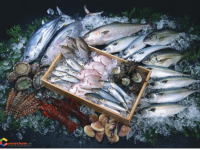 Thủ tục nhập khẩu thủy sản tươi sống để làm thực phẩm