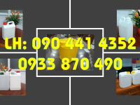 Bình nhựa 1 lít đựng kem dưỡng da, can nhựa 0.5 lít có vòi ấn