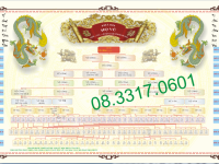 Vẽ cây gia phả, vẽ cây phả hệ, vẽ cây phả đồ, thiết kế cây gia phả, dịch gia phả